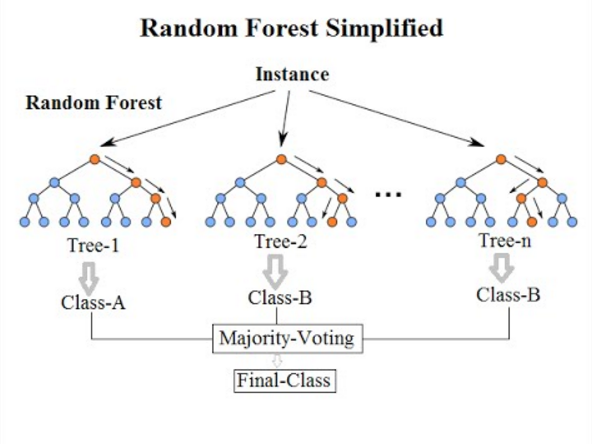 Random Forests representation